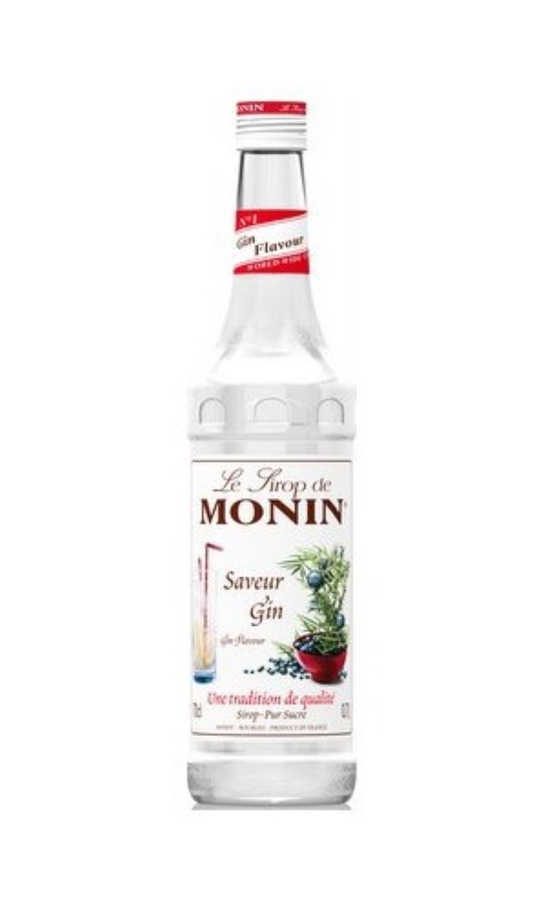 /ficheros/productos/sirope monin gin.jpg